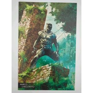 Marvel Black Panther #170 (2018) Marco Checchetto Incentive Variant NM